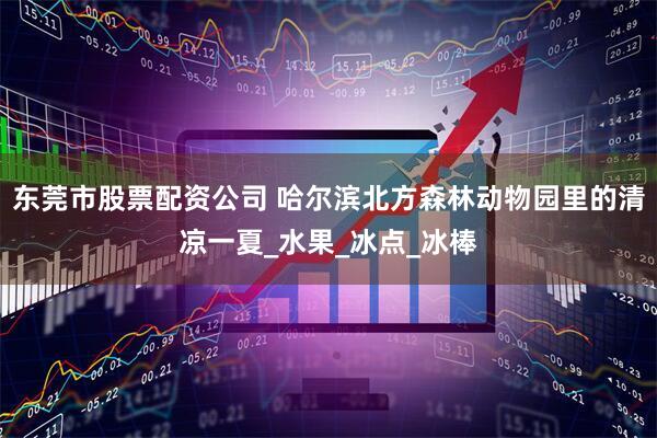 东莞市股票配资公司 哈尔滨北方森林动物园里的清凉一夏_水果_冰点_冰棒