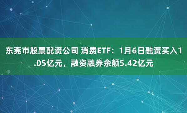 东莞市股票配资公司 消费ETF：1月6日融资买入1.05亿元，融资融券余额5.42亿元